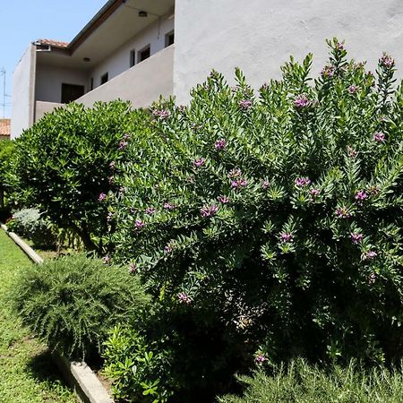 Yannis Apartments Afytos Exterior foto