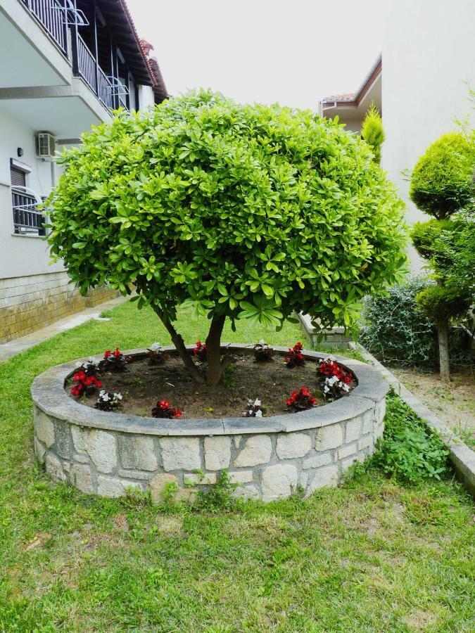 Yannis Apartments Afytos Exterior foto