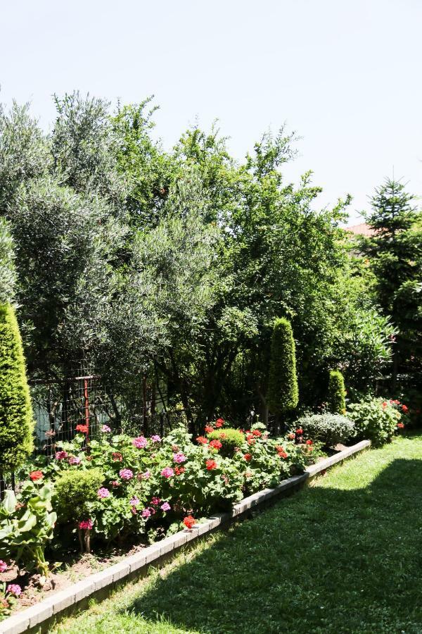 Yannis Apartments Afytos Exterior foto